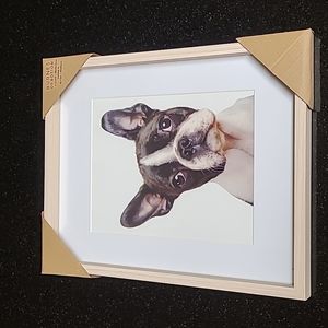 Boston Terrier Framed Art